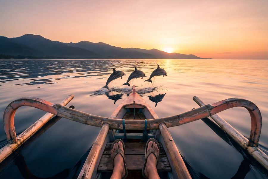 Three wild spinner dolphins leaping from mirror-flat water beside a traditional jukung outrigger fishing boat at dawn on Lovina Bay, with the volcanic northern Bali coastline silhouetted against a coral pink and gold sunrise sky