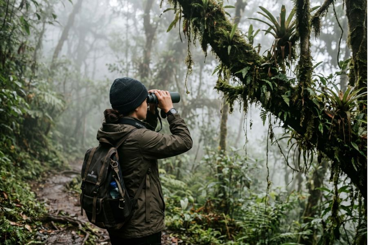 Traveler birdwatching in the misty Monteverde cloud forest.