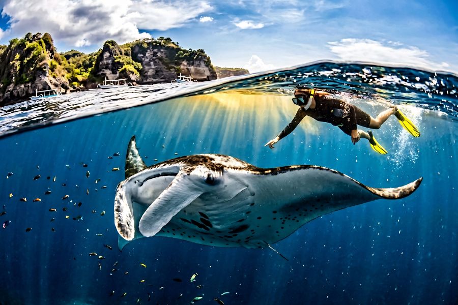 Split-level underwater photograph of a massive oceanic manta ray gliding beneath the surface at Manta Point, Nusa Penida, with a snorkeler reaching toward it and sunlight refracting through the crystal-clear water