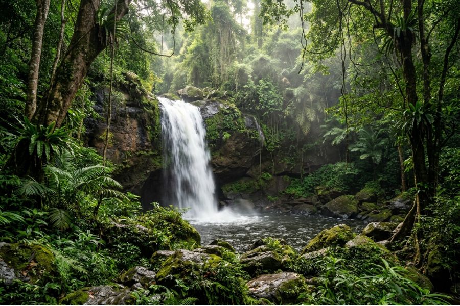 A powerful waterfall surrounded by dense tropical jungle in Khao Yai National Park, a top nature tour from Bangkok.